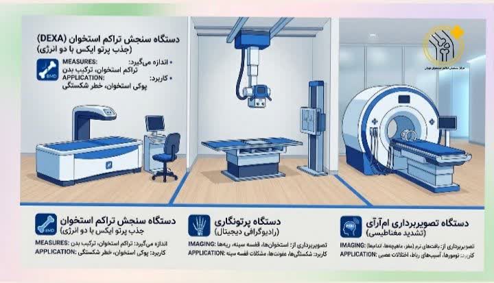 تفاوت آزمایش تراکم استخوان با MRI و رادیوگرافی